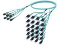 UNXQPLUTH [RFO 8F MPO - LC UNIBOOT 48F OM4 MM]