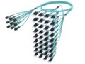 U4XQXLUTK [RFO 8F MPO - LC UNIBOOT 72F OM4 MM]