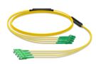 1464096-ZZ | FPM-0M/E-AN014M-VB/60 [FPM-yellow-ALC-ASC-4-fiber]