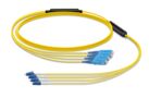 1454878 | FPM-07/K-AN013M-25/39 [FPM-yellow-SC-LC-4-fiber]